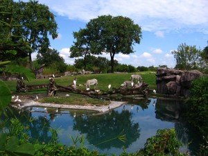 Busch Gardens Africa