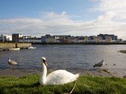 Galway